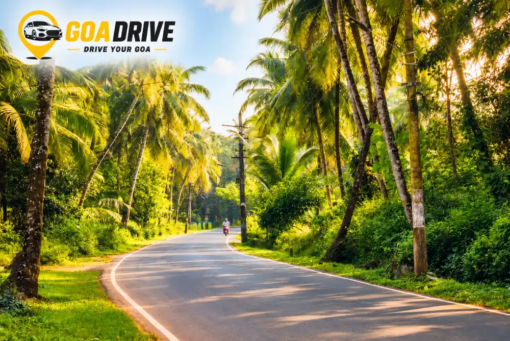 Safe driving on a road in Goa surrounded by tropical greenery